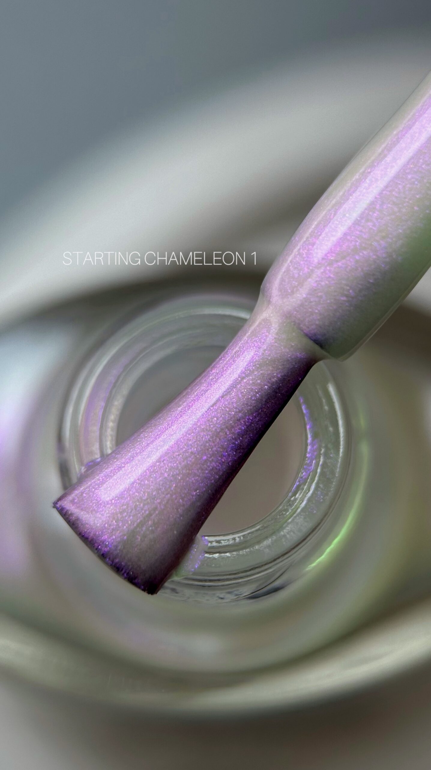 SAGA Professional Chameleon №1