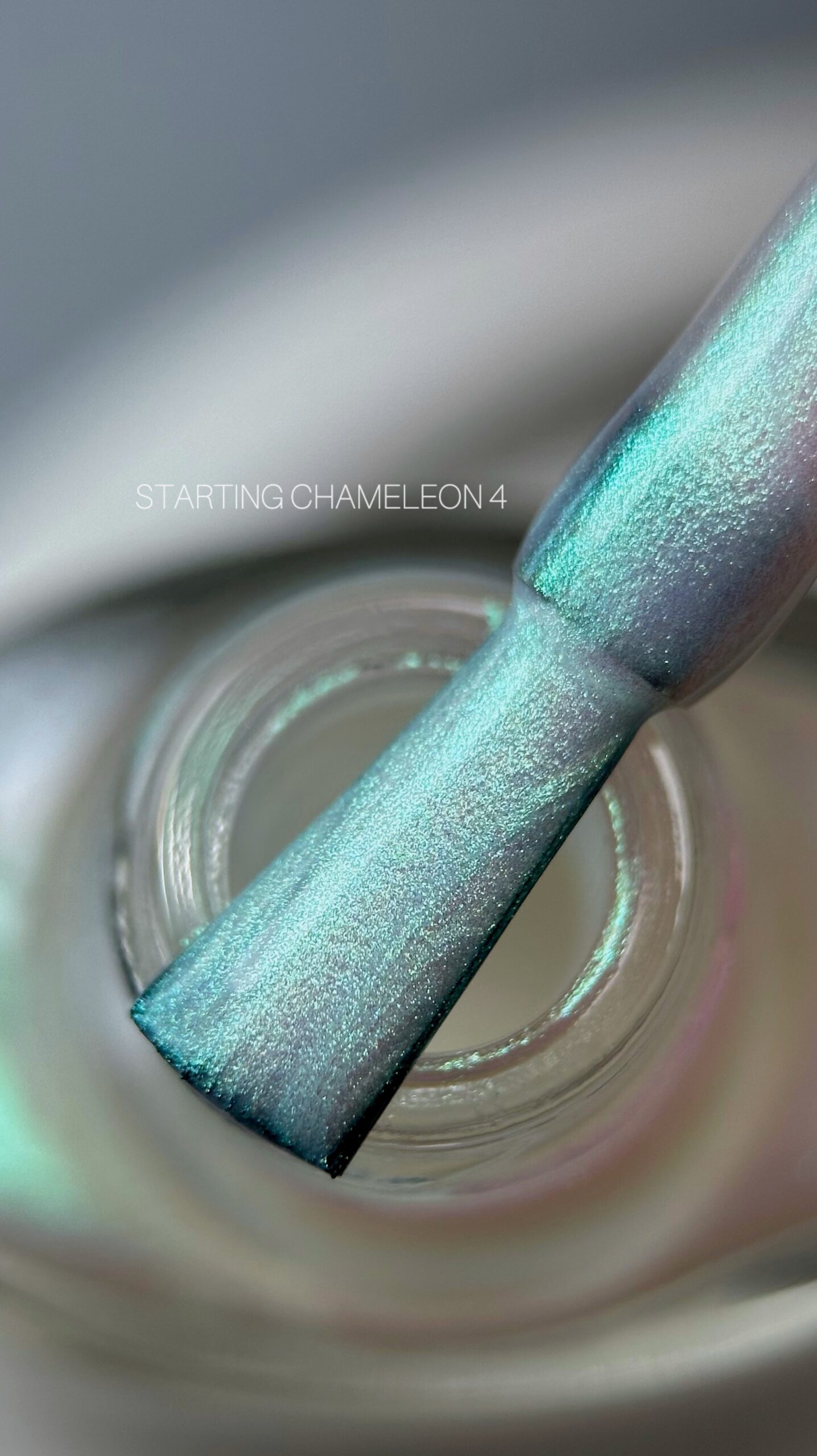 SAGA Professional Chameleon №4
