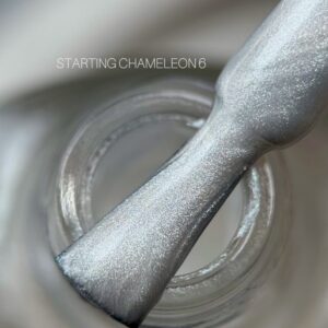 SAGA Professional Chameleon №6
