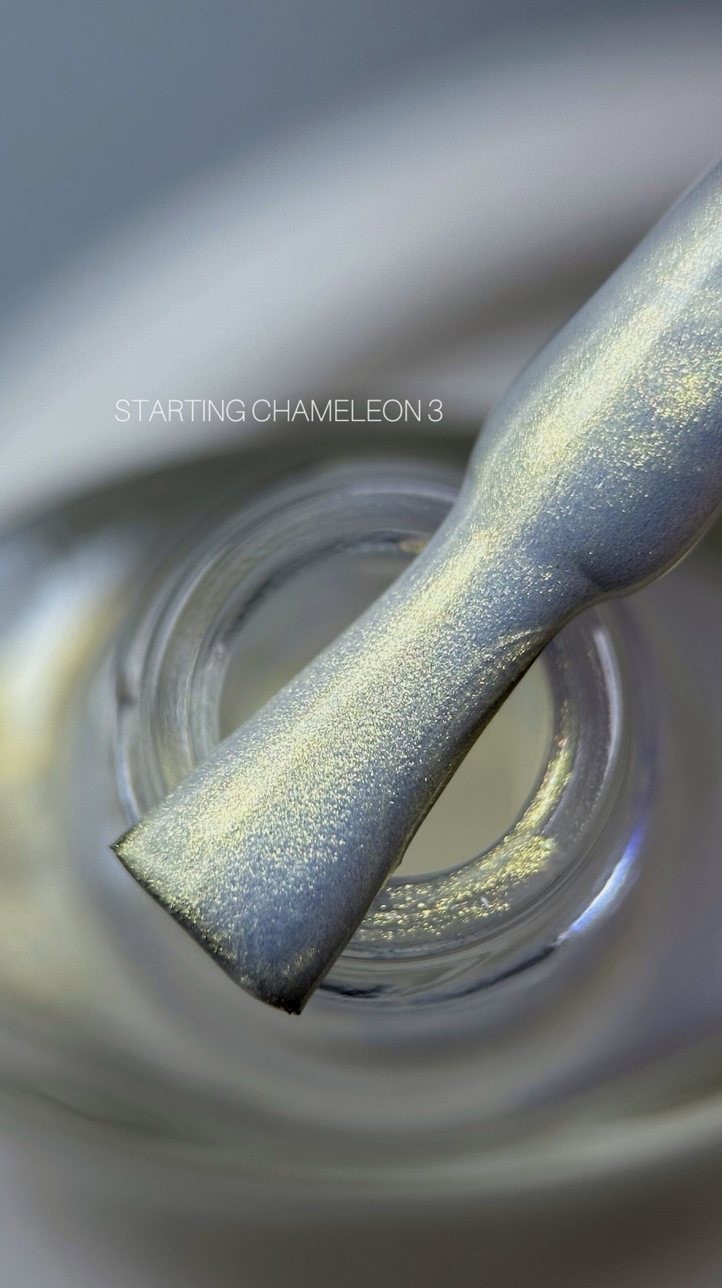 SAGA Professional Chameleon №3