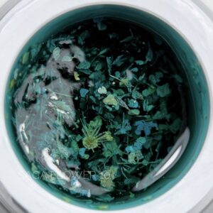 SAGA Professional Flower gel №010