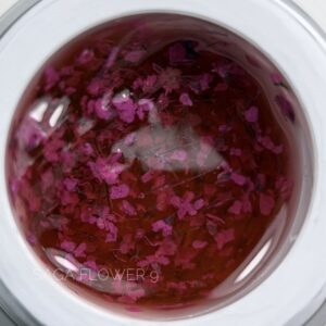 SAGA Professional Flower gel №09