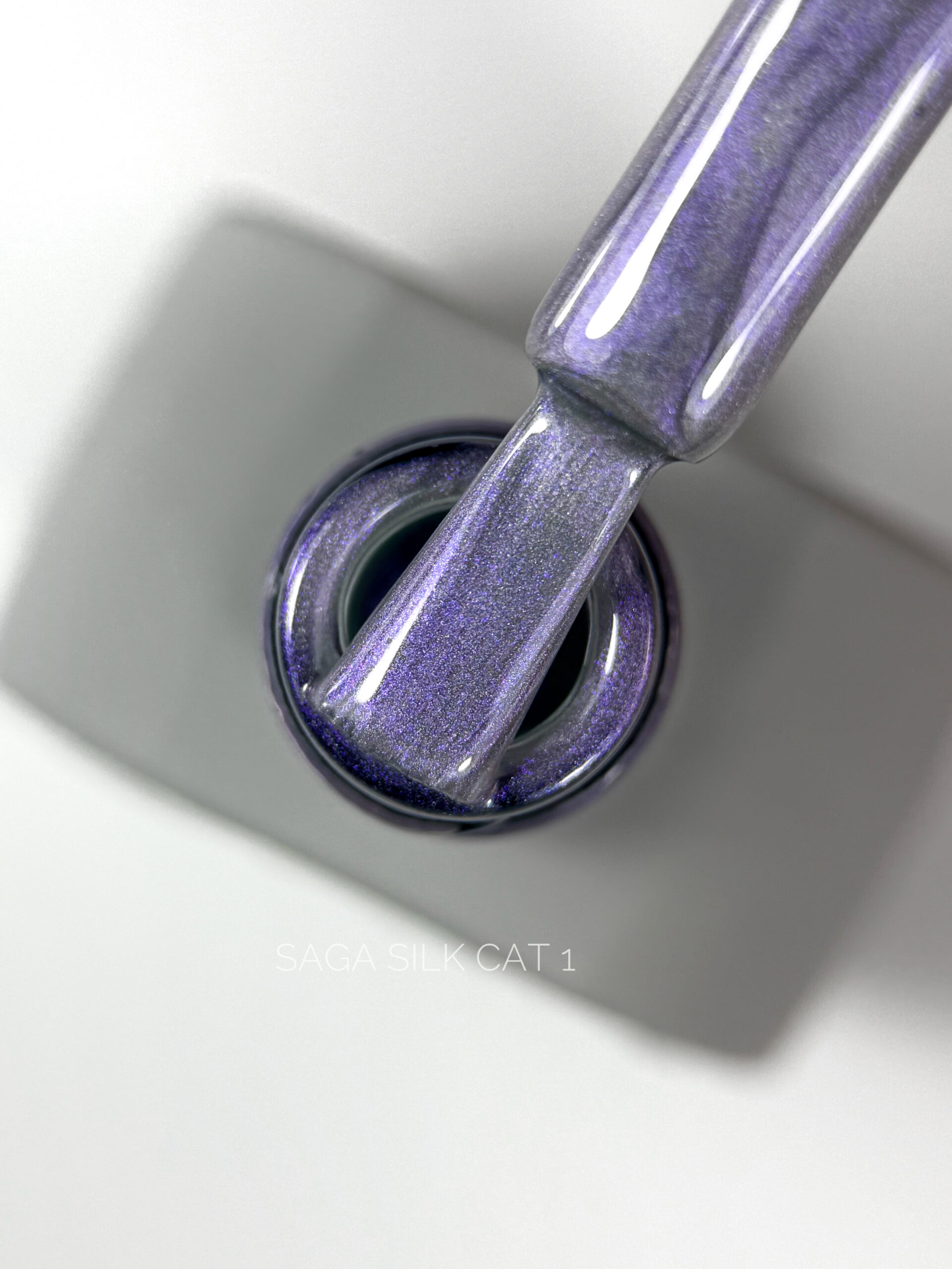 SAGA Professional Silk cat №01, 10 мл