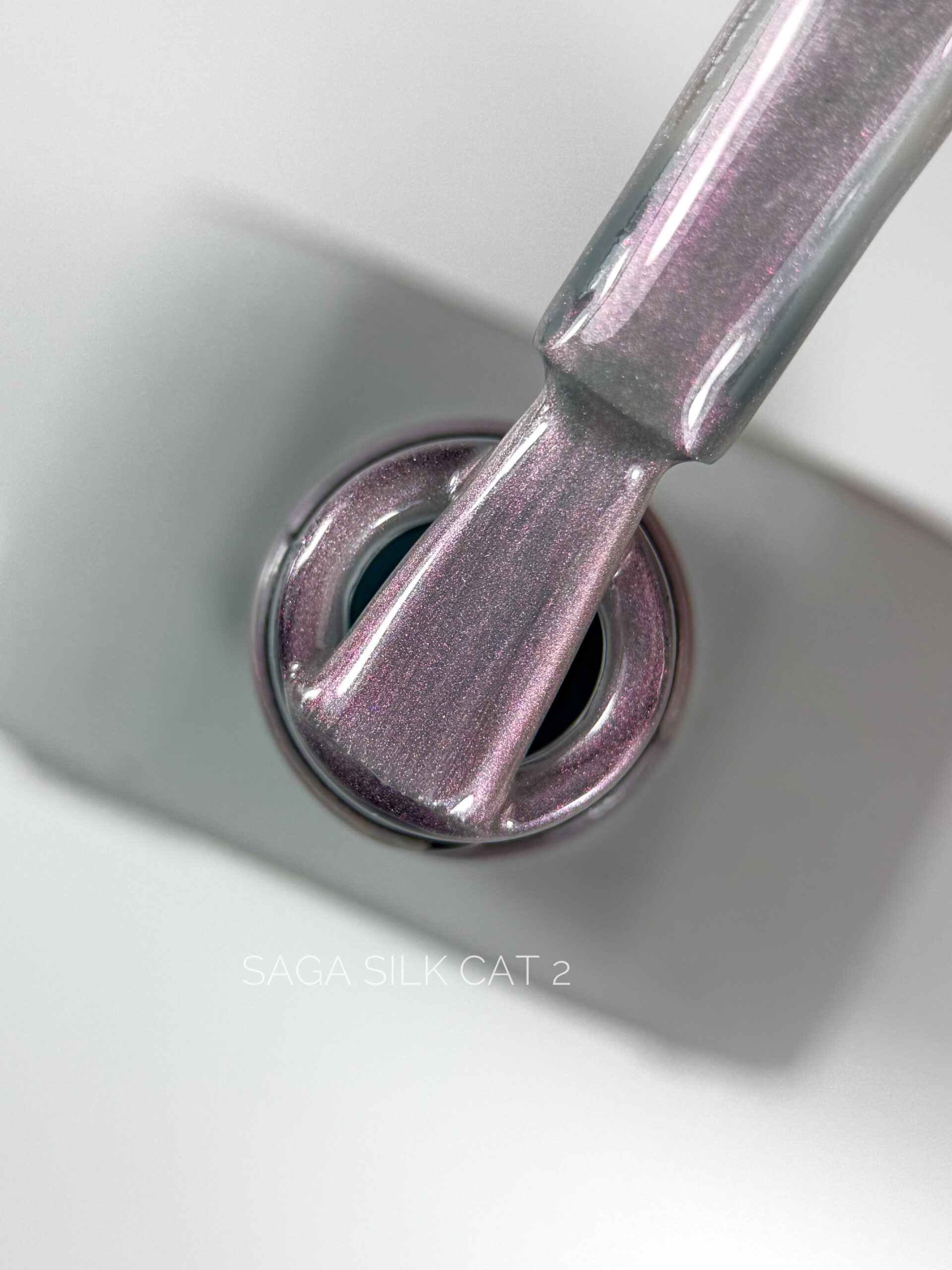 SAGA Professional Silk cat №02, 10 мл