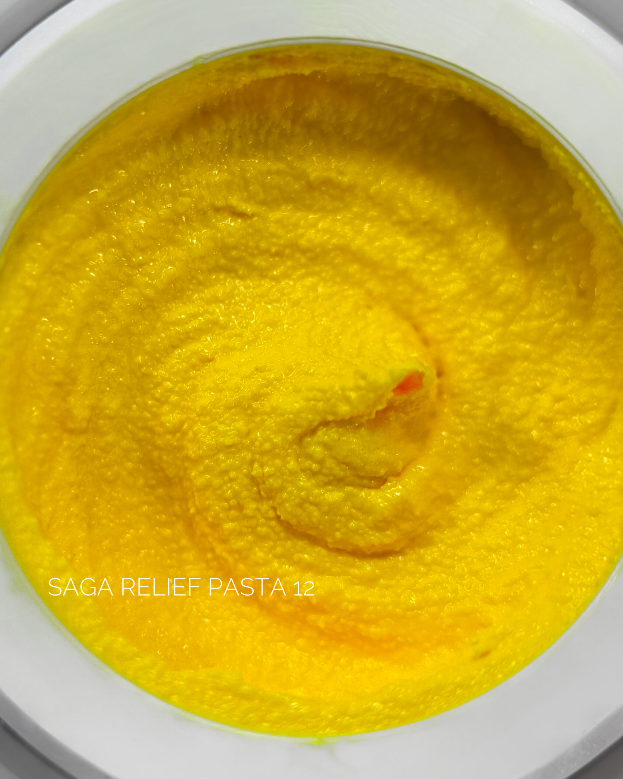 SAGA Professional Relief pasta №12